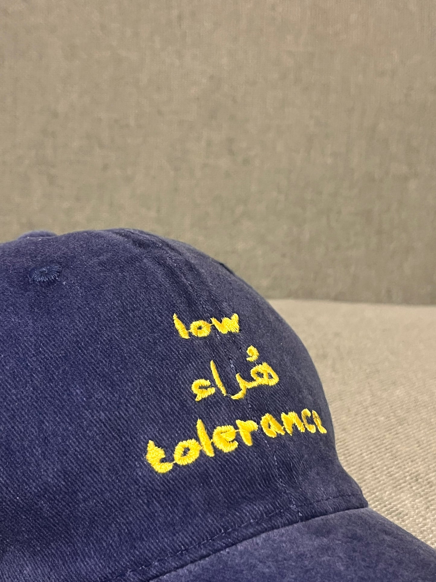 Low هراء Tolerance Washed Cap