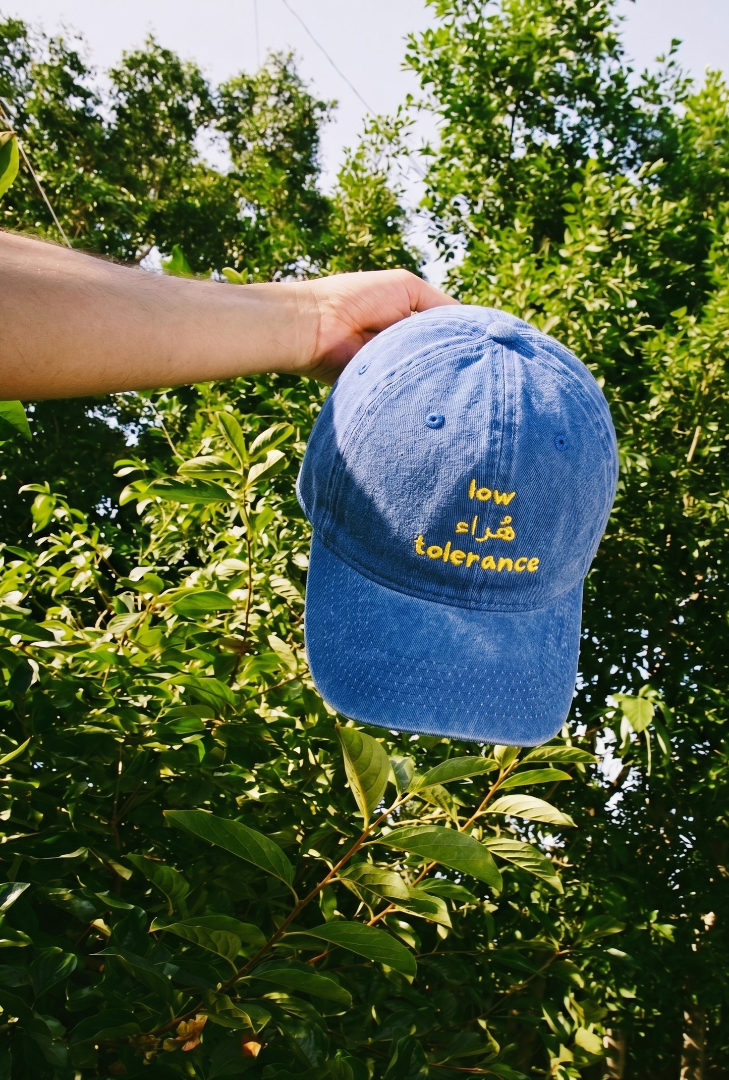 Low هراء Tolerance Washed Cap